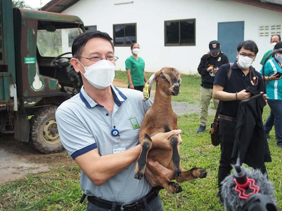 National Research Council of Thailand (NRCT) supports comprehensive goat farming research at PSU, pioneering new breeders to commercialization